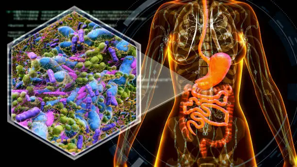 The Gut's Software: A New Hypothesis on Microbiome and Metabolic Health