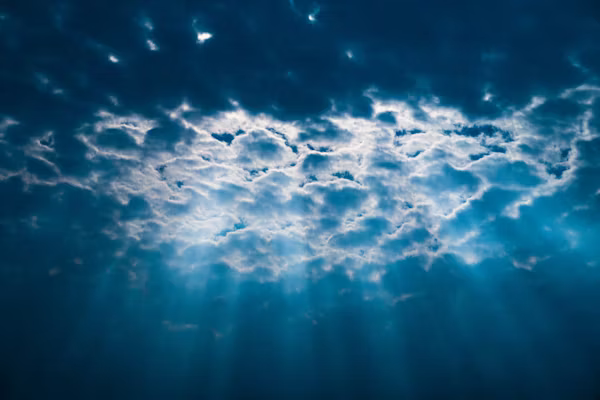 The Vertical Ocean: A New Hypothesis on Mist-Based Aquaponics