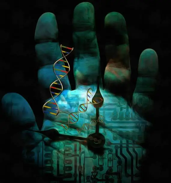 The Memory of Touch: How Physical Tension Rewrites Skin DNA
