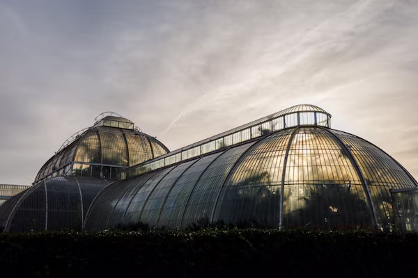 Nature’s Architecture: A New Hypothesis for Synecoculture Farming