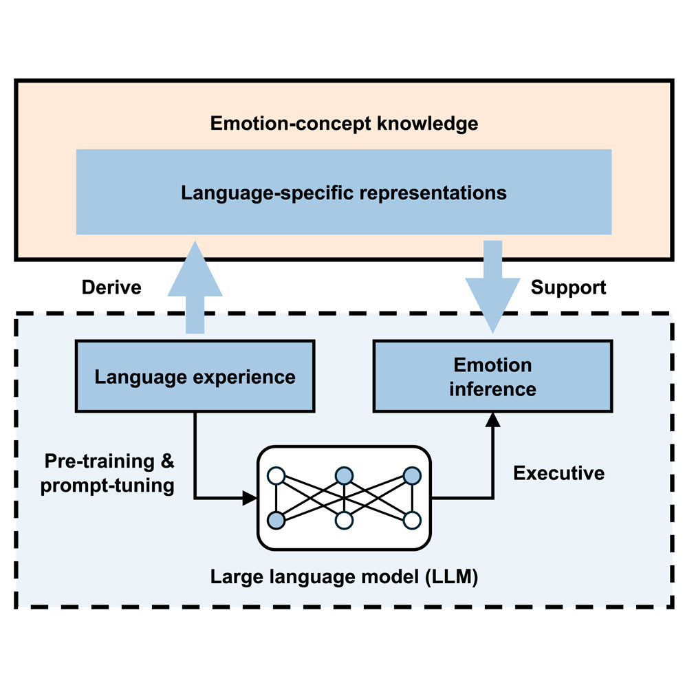 The Body’s Silent Language: A New Multimodal Emotion Decoder